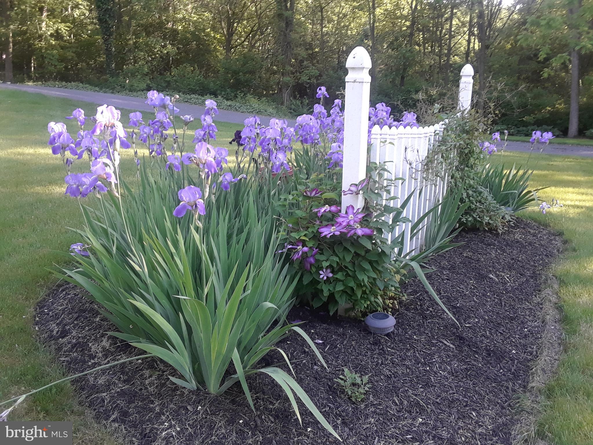 411 Springfield Road Shippensburg, PA 17257 - Photo 69 of 75 Spring time at 411