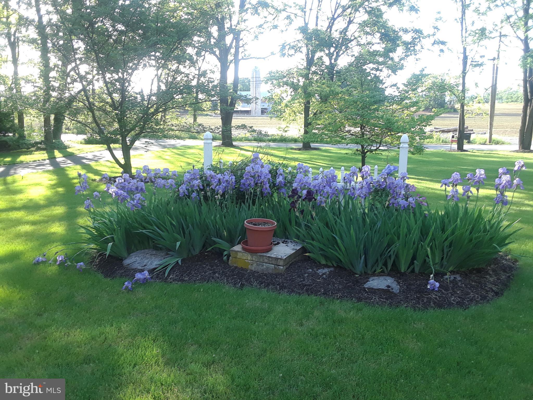 411 Springfield Road Shippensburg, PA 17257 - Photo 70 of 75 Spring time at 411 Springfield