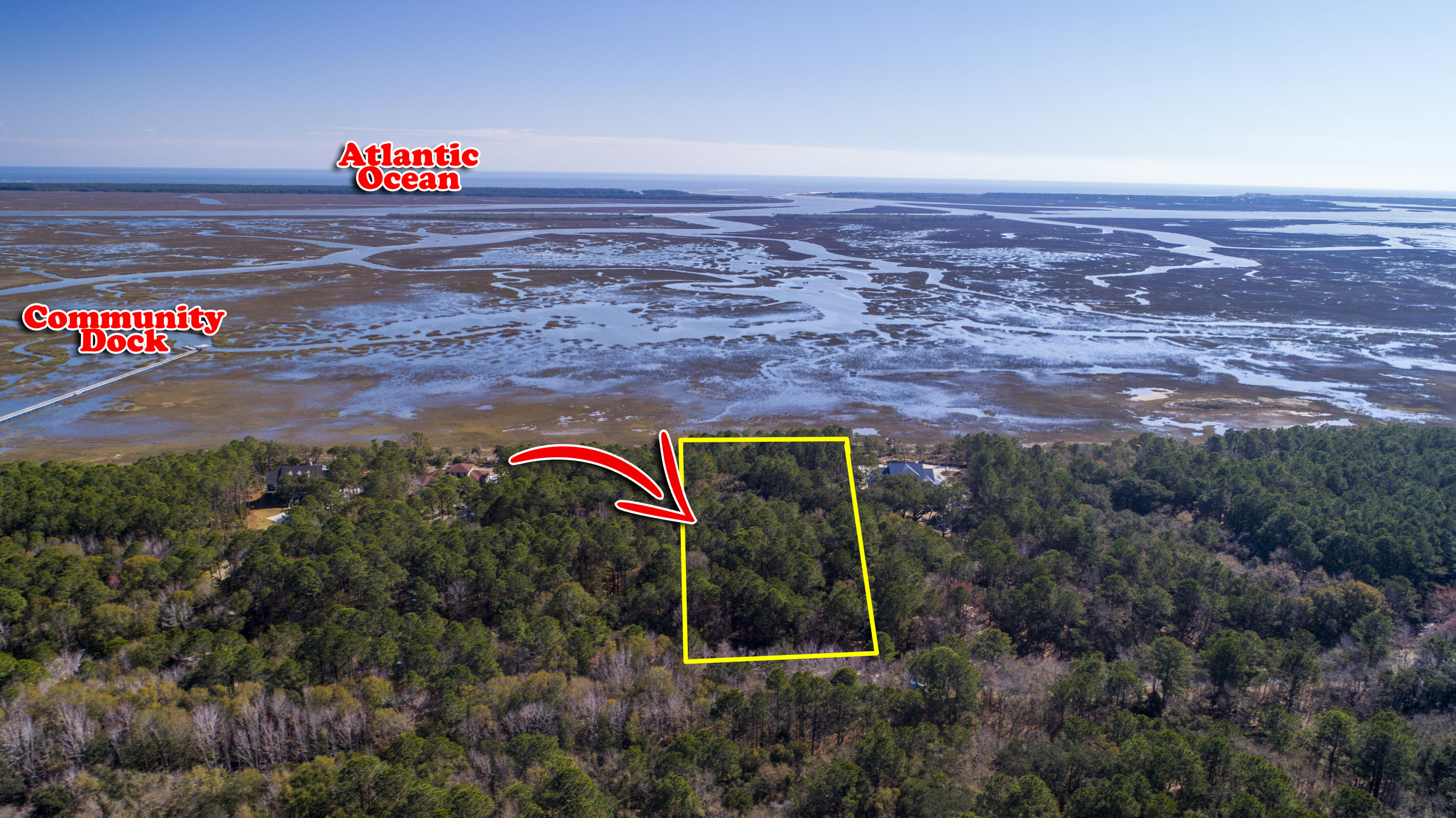 19 Longmarsh Road Awendaw, SC 29429 - Photo 1 of 46 Aerial View with lot lines