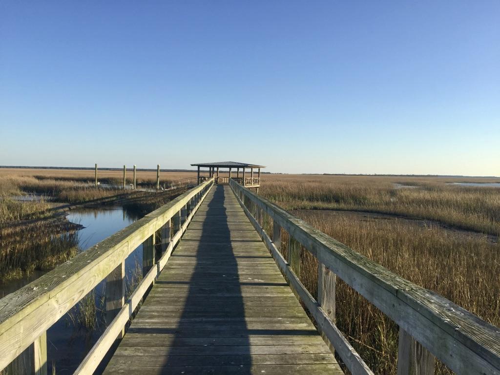 19 Longmarsh Road Awendaw, SC 29429 - Photo 18 of 46 Walkway to pierhead