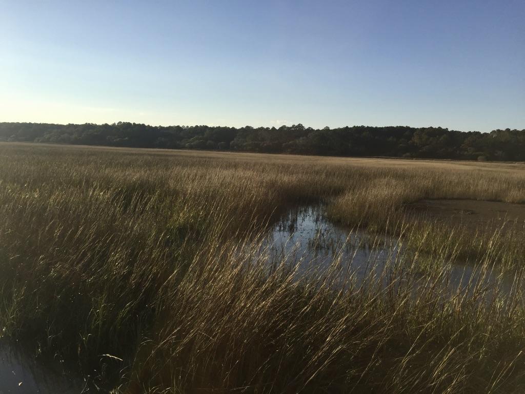 19 Longmarsh Road Awendaw, SC 29429 - Photo 26 of 46 Marsh