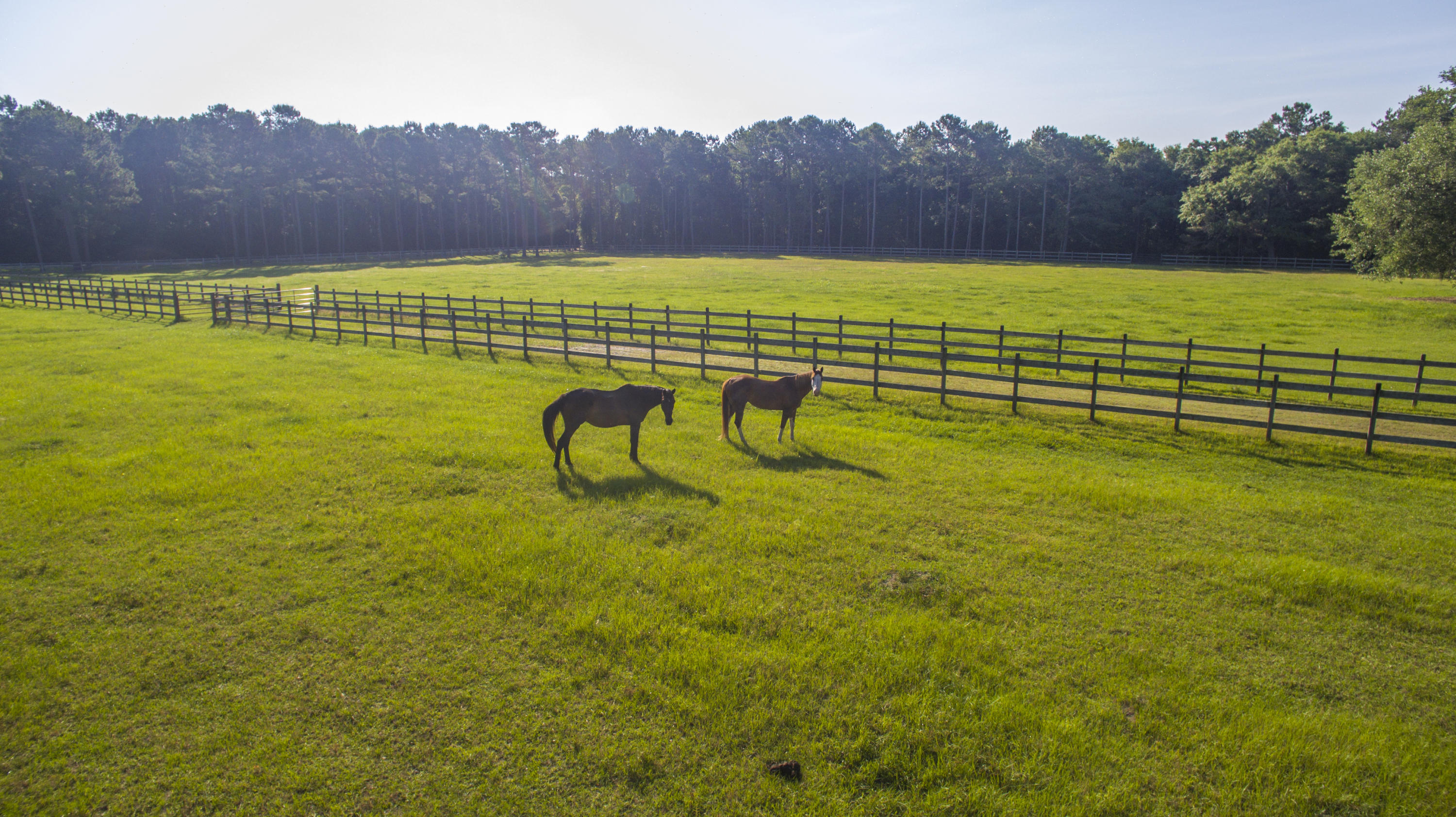 19 Longmarsh Road Awendaw, SC 29429 - Photo 36 of 46 Horse Pasture