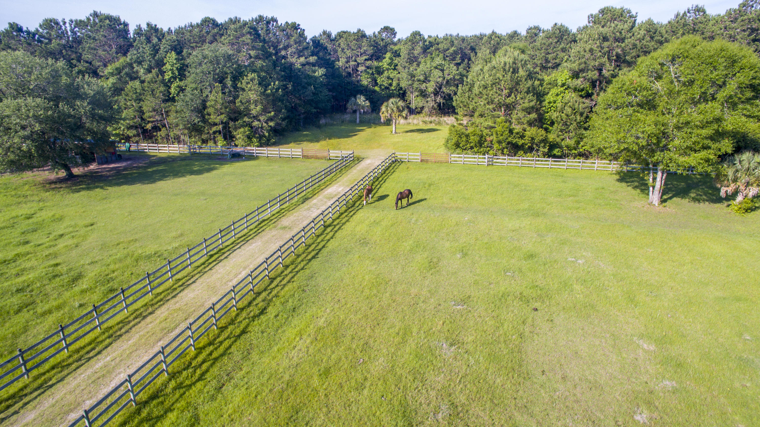 19 Longmarsh Road Awendaw, SC 29429 - Photo 37 of 46 Aerial Horse Pasture