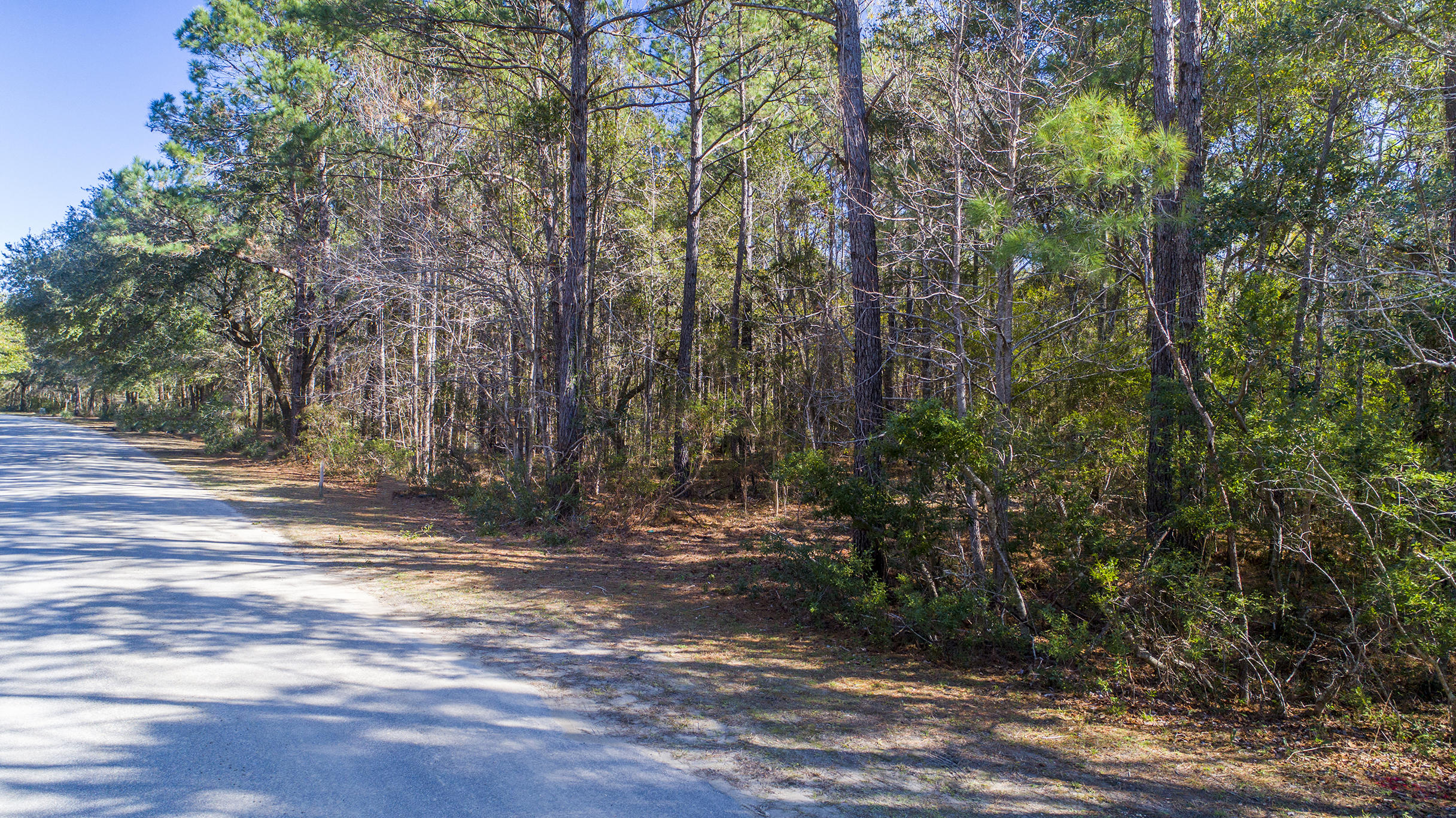 19 Longmarsh Road Awendaw, SC 29429 - Photo 7 of 46 Longmarsh_Edited_001 copy
