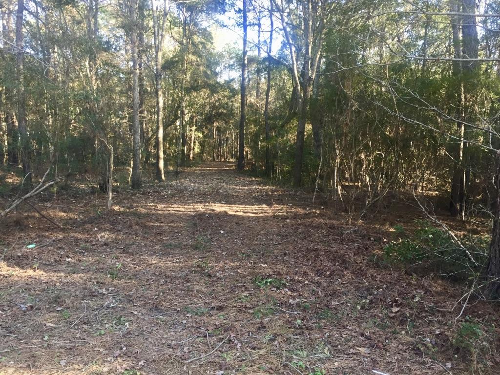 19 Longmarsh Road Awendaw, SC 29429 - Photo 8 of 46 Entrance w path