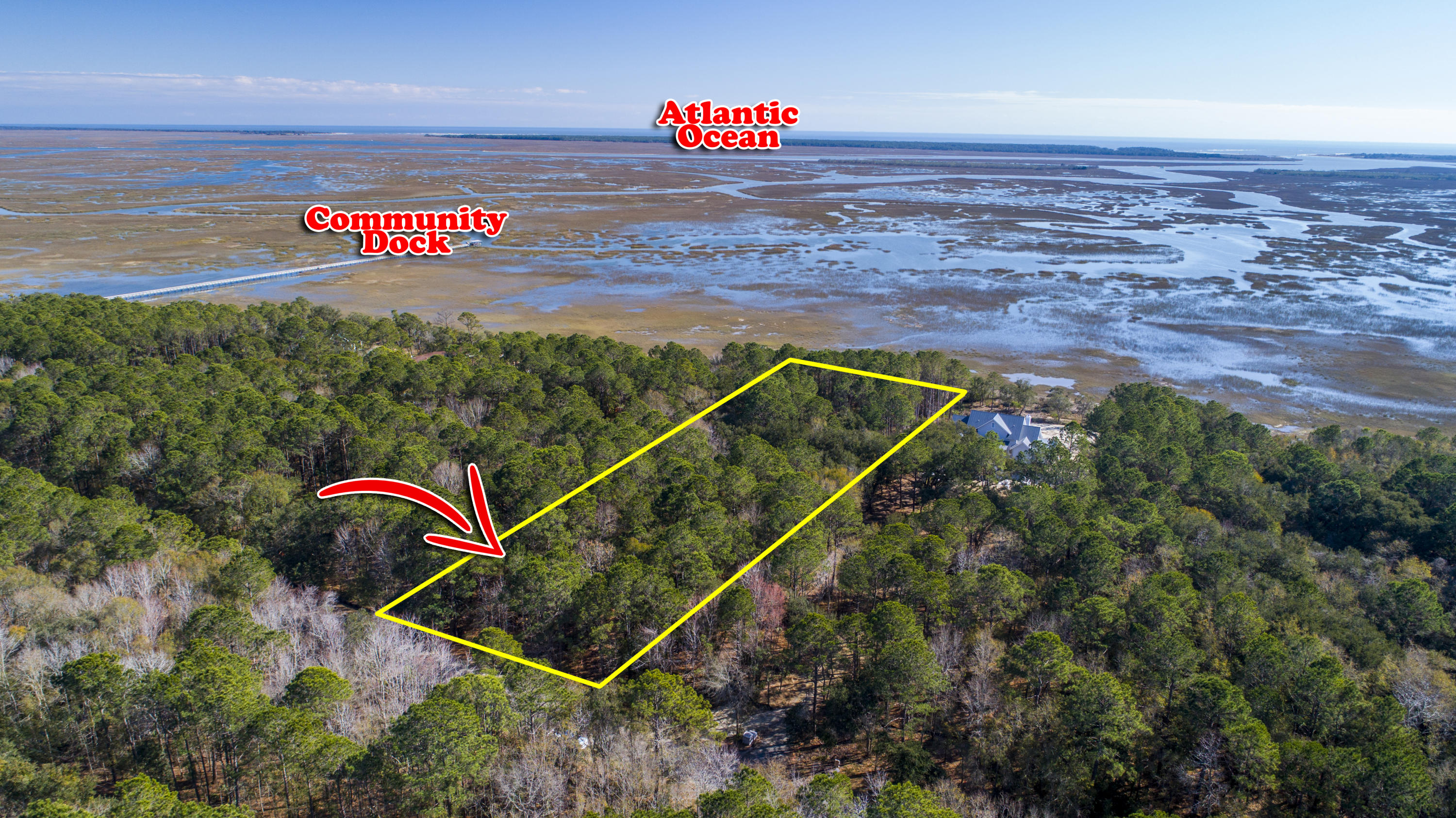 19 Longmarsh Road Awendaw, SC 29429 - Photo 10 of 46 Aerial View of lot