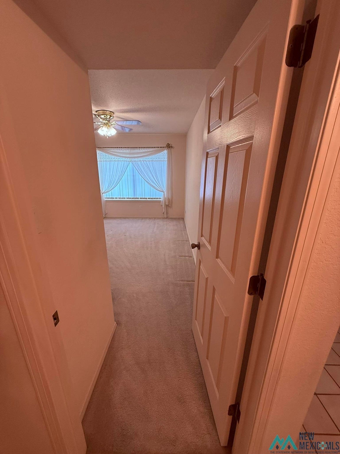 300 Rio Grande Circle Elephant Butte, NM 87935 - Photo 12 of 99 Gallery Image 12