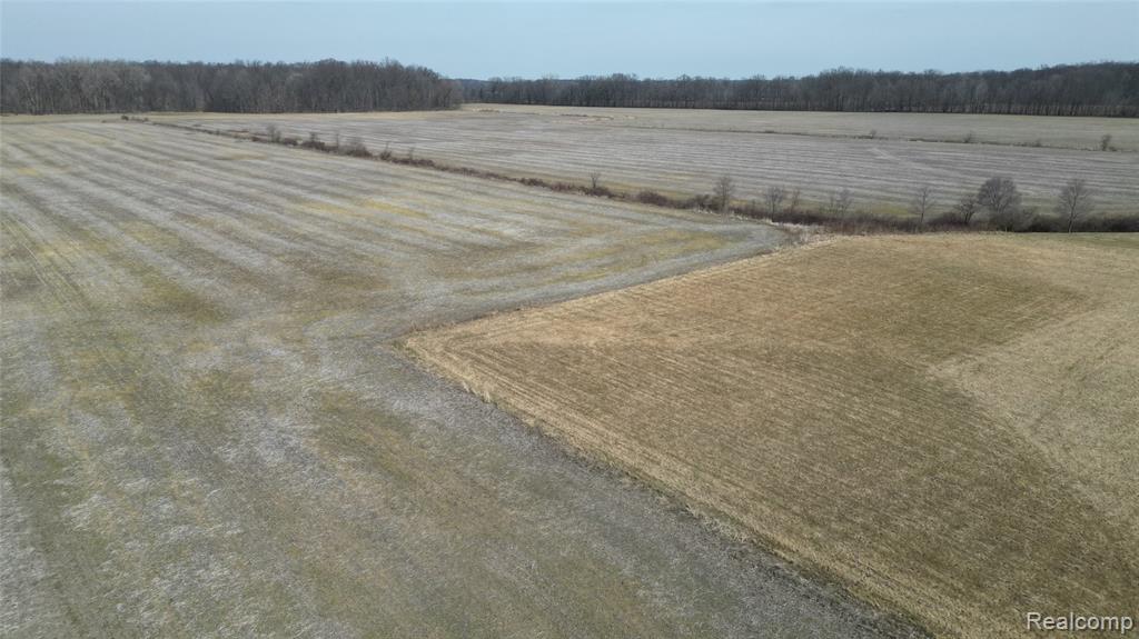 Lot #12 Kunstman Road Ray, MI 48096 - Photo 2 of 15