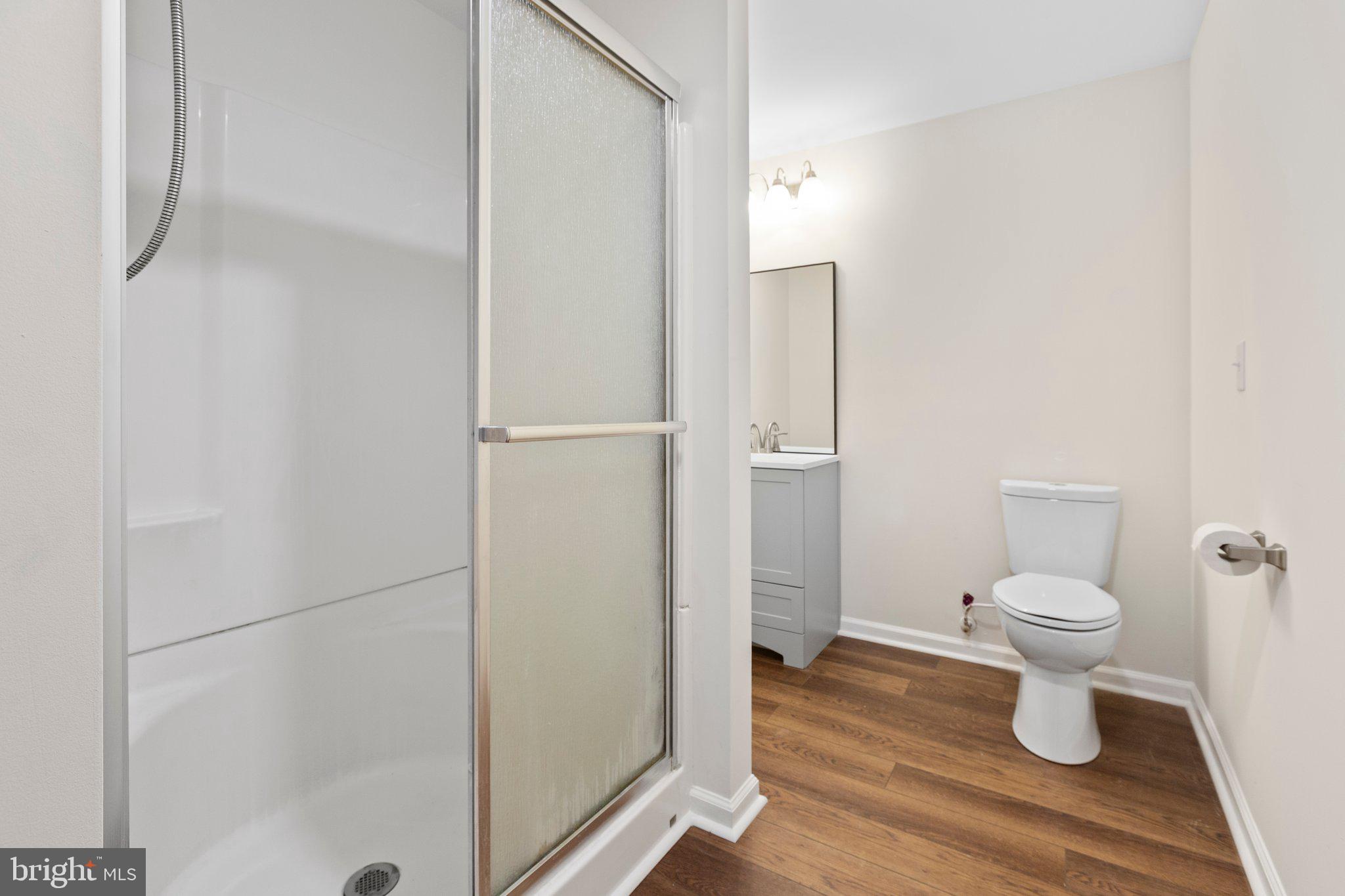 910 Ficklen Road Fredericksburg, VA 22405 - Photo 33 of 45 Lower level full bath with stall shower