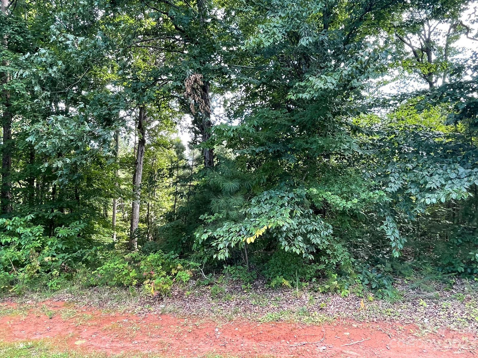 335 Chisholm Trail Rutherfordton, NC 28139 - Photo 2 of 4