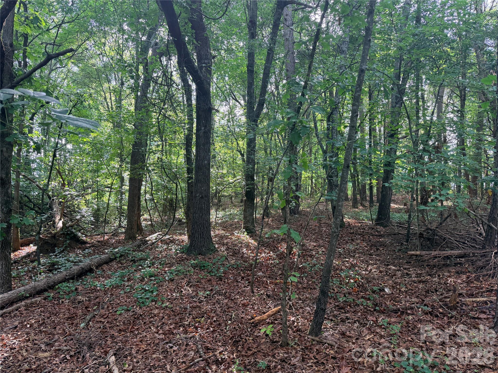 Lot 1 Schenck Farm Road Lawndale, NC 28090 - Photo 11 of 11