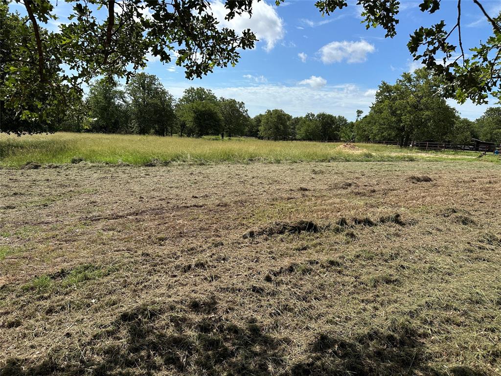 570 Big Salty Lane Springtown, TX 76082 - Photo 6 of 36