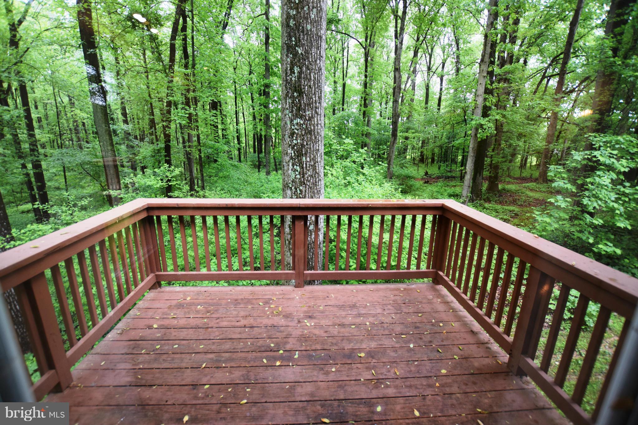 4551 Ten Oaks Road Dayton, MD 21036 - Photo 17 of 30 Master Bedroom Balcony