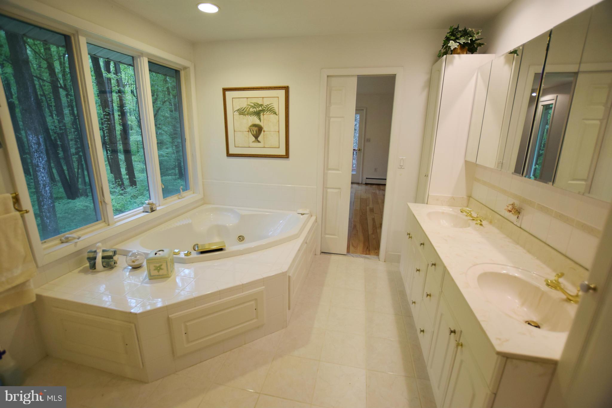 4551 Ten Oaks Road Dayton, MD 21036 - Photo 18 of 30 Bath (Master)
