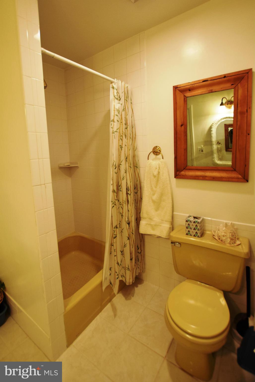 4551 Ten Oaks Road Dayton, MD 21036 - Photo 21 of 30 Hall Bath