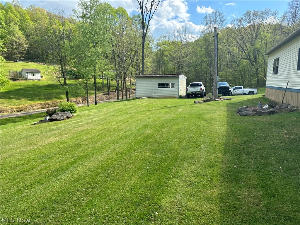 4041 Gray Road Kimbolton, OH 43749 - Photo 19 of 32 View of yard
