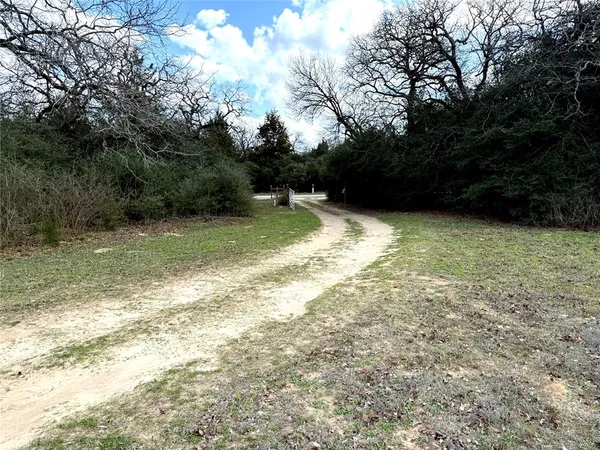 a view of a yard