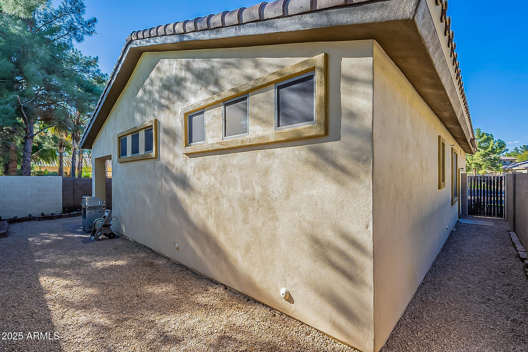 1857 West Periwinkle Way Chandler, AZ 85248 - Photo 37 of 38 a view of backyard with a large tree and wooden fence