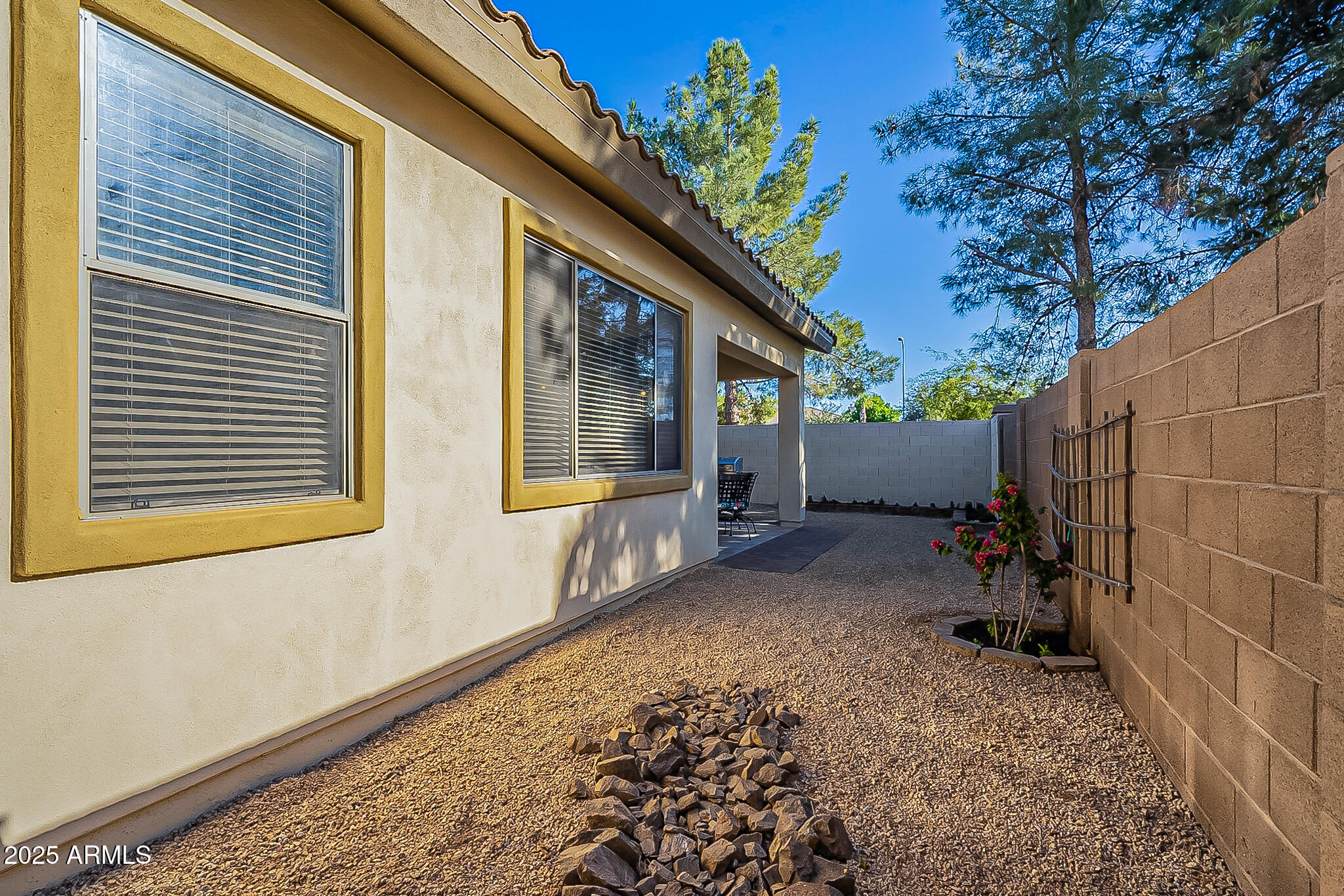 1857 West Periwinkle Way Chandler, AZ 85248 - Photo 38 of 38 a view of a backyard with a large tree