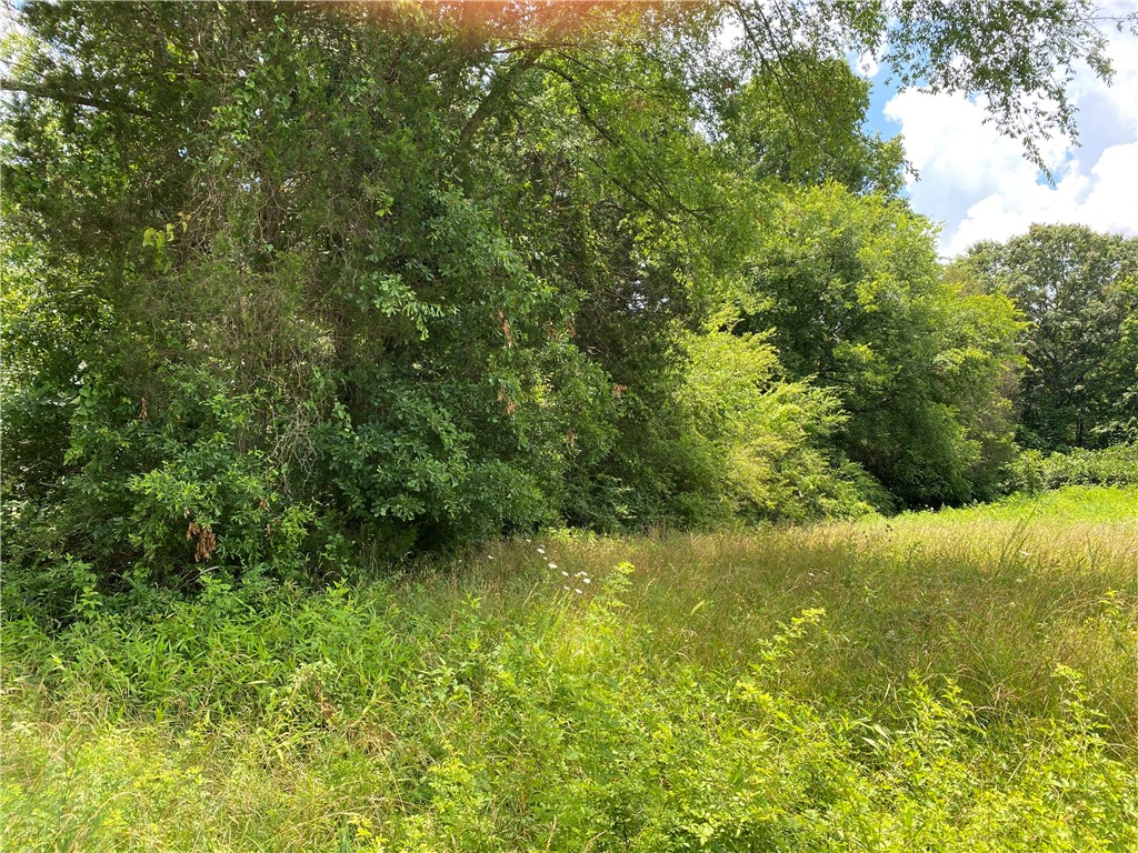 Lot 2 Gin Mill Road Honea Path, SC 29654 - Photo 1 of 2 Gallery Image 1