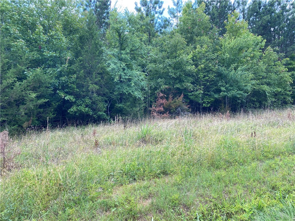 Lot 2 Gin Mill Road Honea Path, SC 29654 - Photo 2 of 2 Gallery Image 2