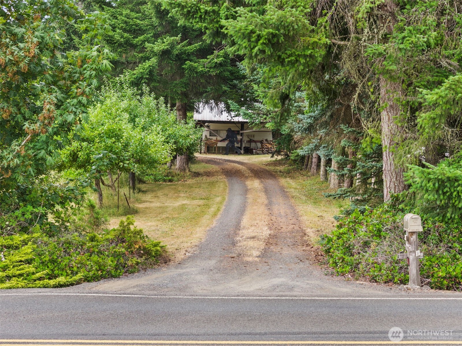 341 Frogner Road Chehalis, WA 98532 - Photo 4 of 32 Gallery Image 4