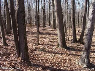 4005 Ridge Road Newfoundland, PA 18445 - Photo 11 of 15 Gallery Image 11