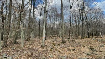 4005 Ridge Road Newfoundland, PA 18445 - Photo 15 of 15 Gallery Image 15