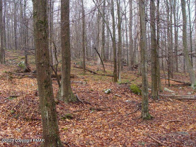 4005 Ridge Road Newfoundland, PA 18445 - Photo 10 of 15 Gallery Image 10
