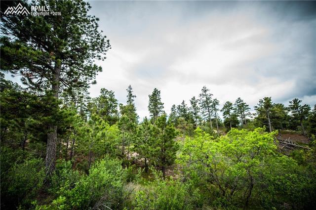 11005 South Holmes Road Colorado Springs, CO 80908 - Photo 19 of 25 Gallery Image 19