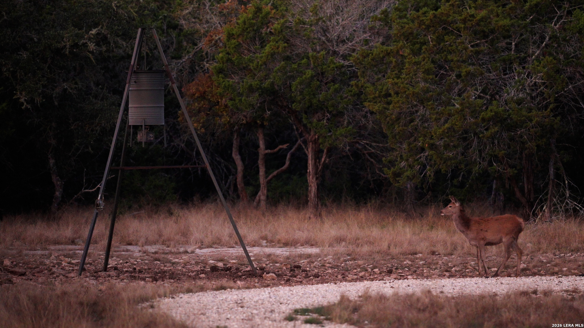 305 Wilson Ranch Road Hunt, TX 78024 - Photo 21 of 40