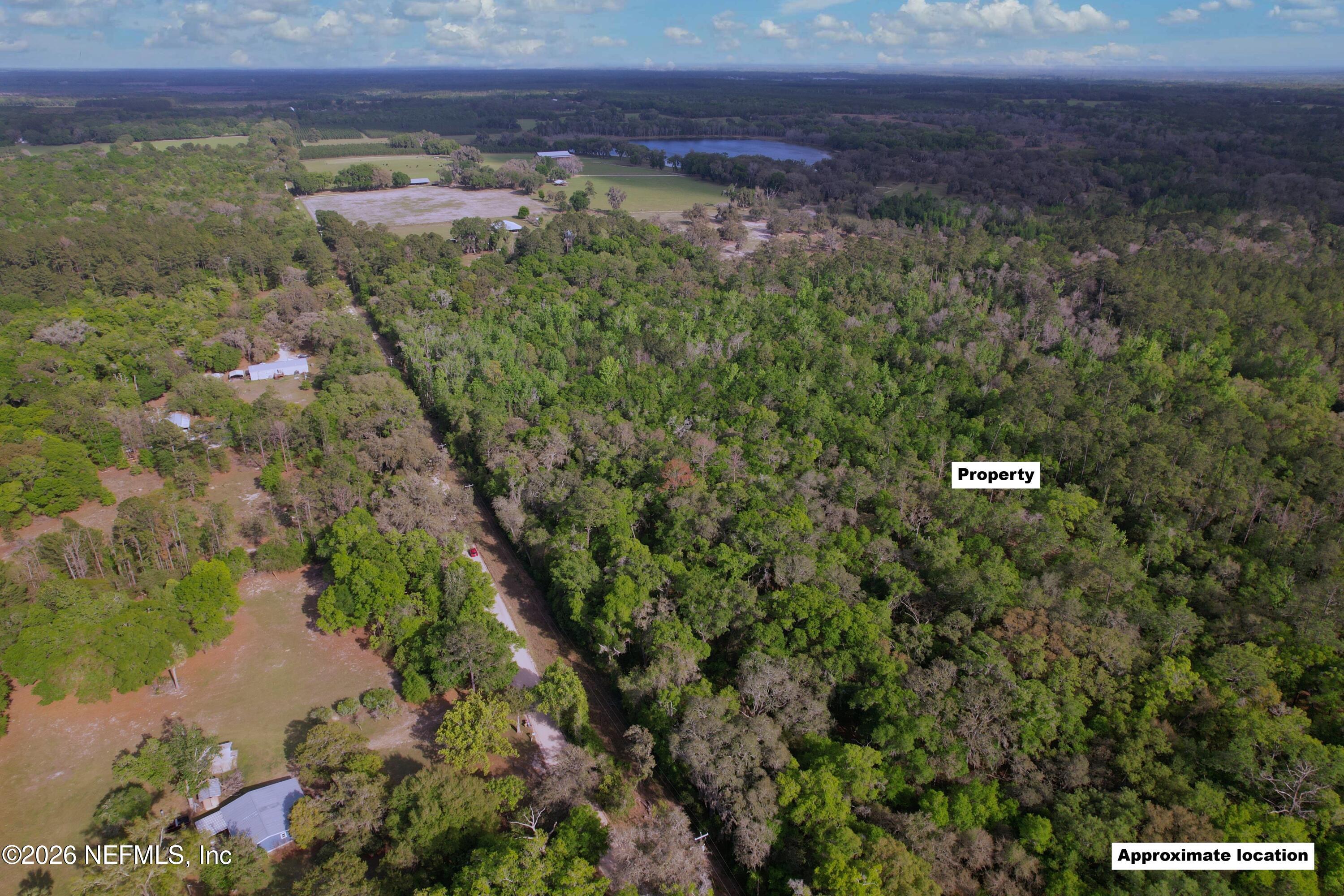 0 Off Orange Lane Hawthorne, FL 32640 - Photo 2 of 9 a view of a bunch of trees in a field