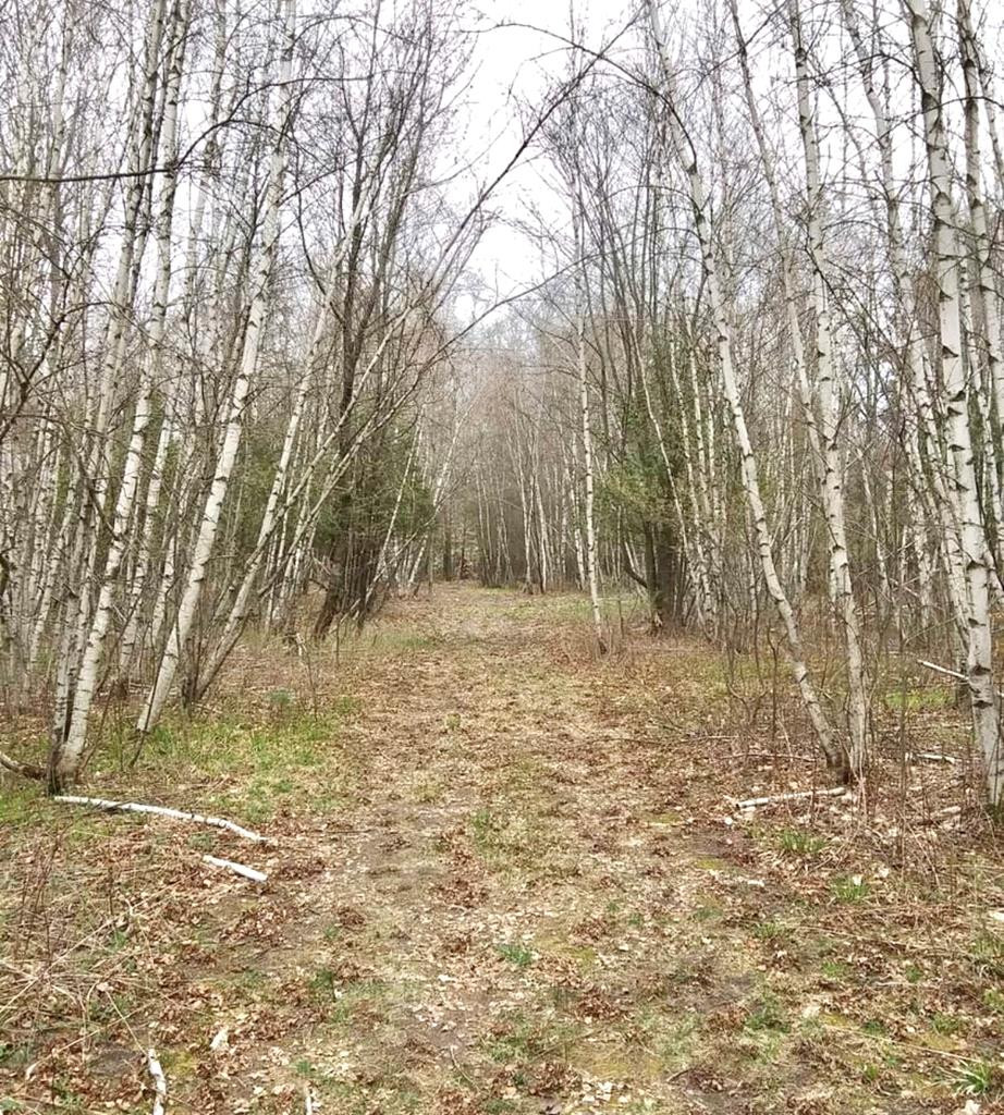 446 E Road Burke, NY 12917 - Photo 25 of 29 Gallery Image 25
