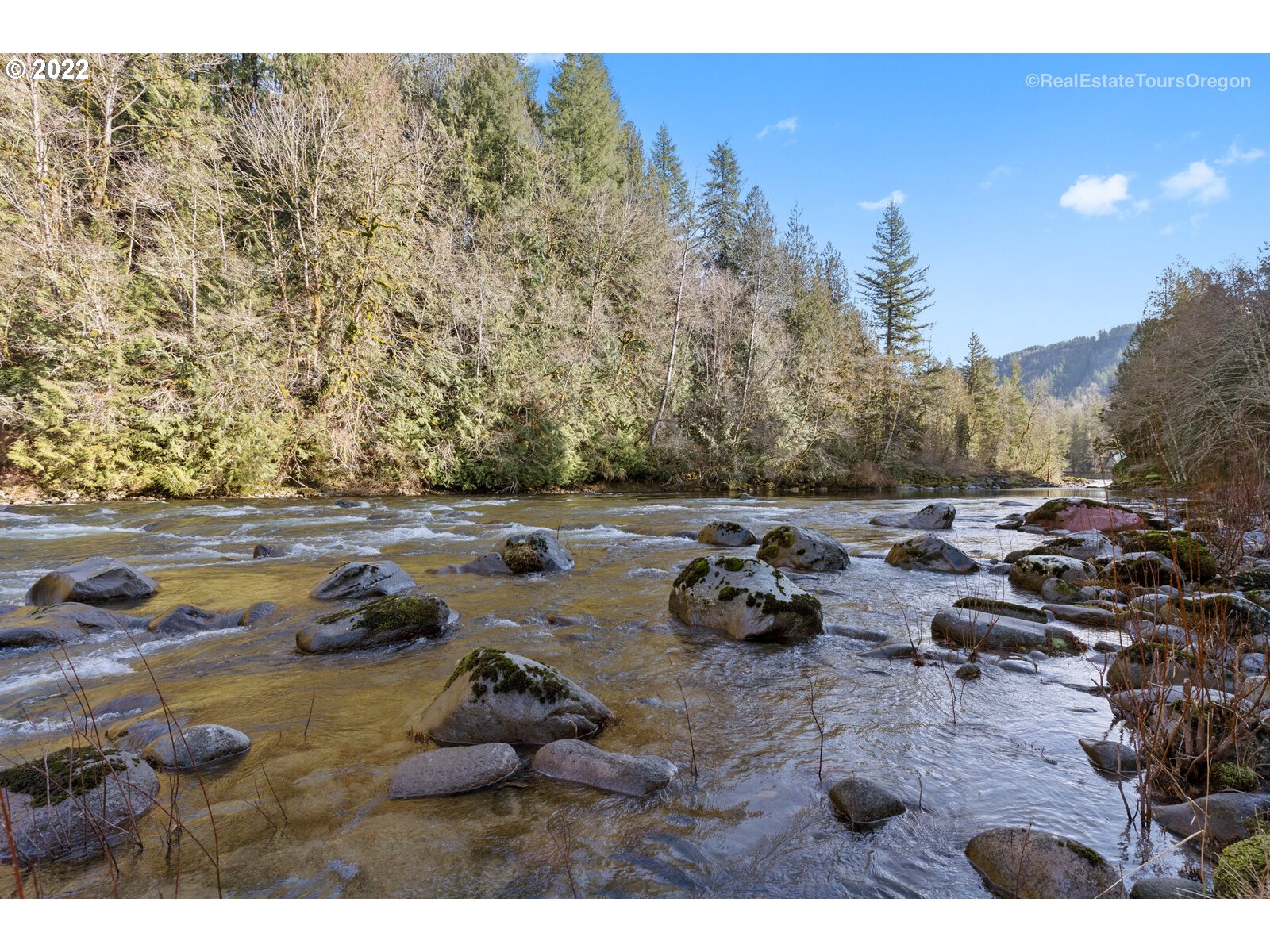 19465 Southeast Summertime Drive Sandy, OR 97055 - Photo 24 of 27 a view of swimming pool yard and lake view