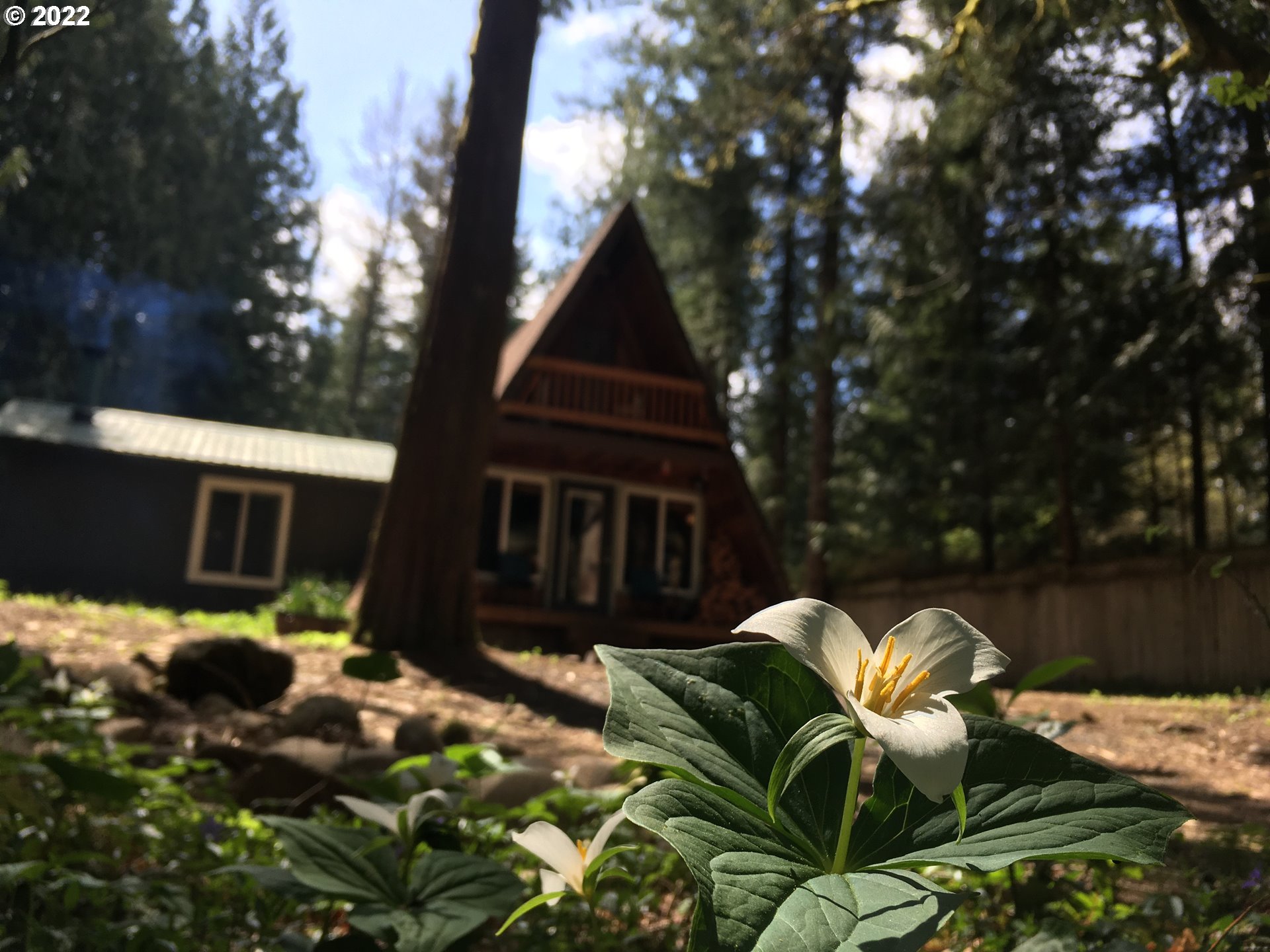 19465 Southeast Summertime Drive Sandy, OR 97055 - Photo 26 of 27 a backyard of a house with table and chairs and potted plants