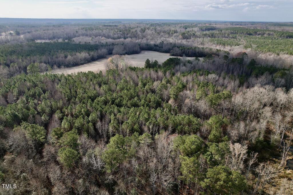1 Peachtree Hills Road Spring Hope, NC 27882 - Photo 10 of 40 12