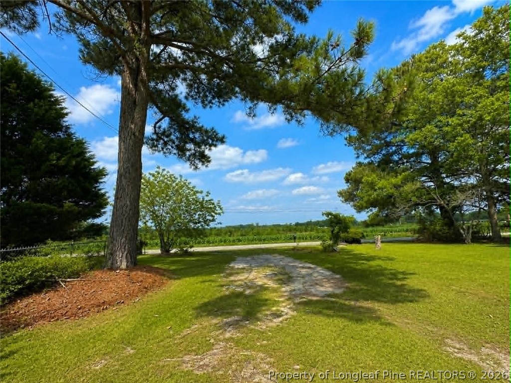 4435 Tartt's Mill Road Wilson, NC 27893 - Photo 2 of 23 a view of a golf course with a big yard