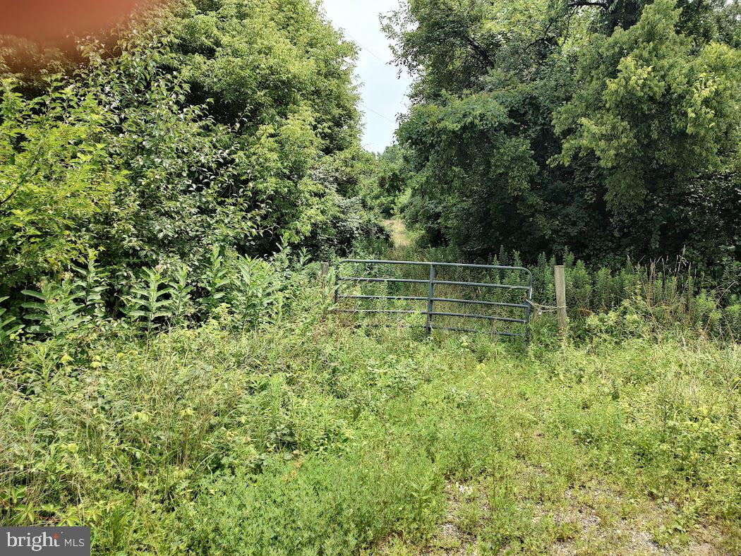 East Pulaski Highway Elkton, MD 21921 - Photo 2 of 7 Gated Entrance