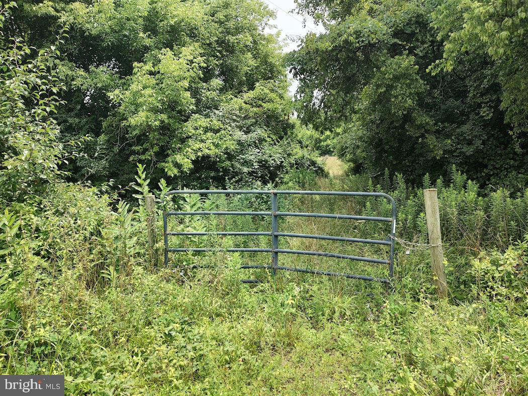 East Pulaski Highway Elkton, MD 21921 - Photo 3 of 7