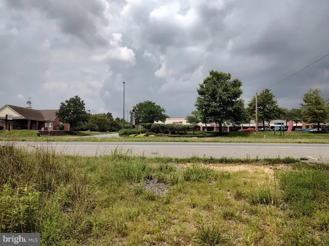 a view of green field