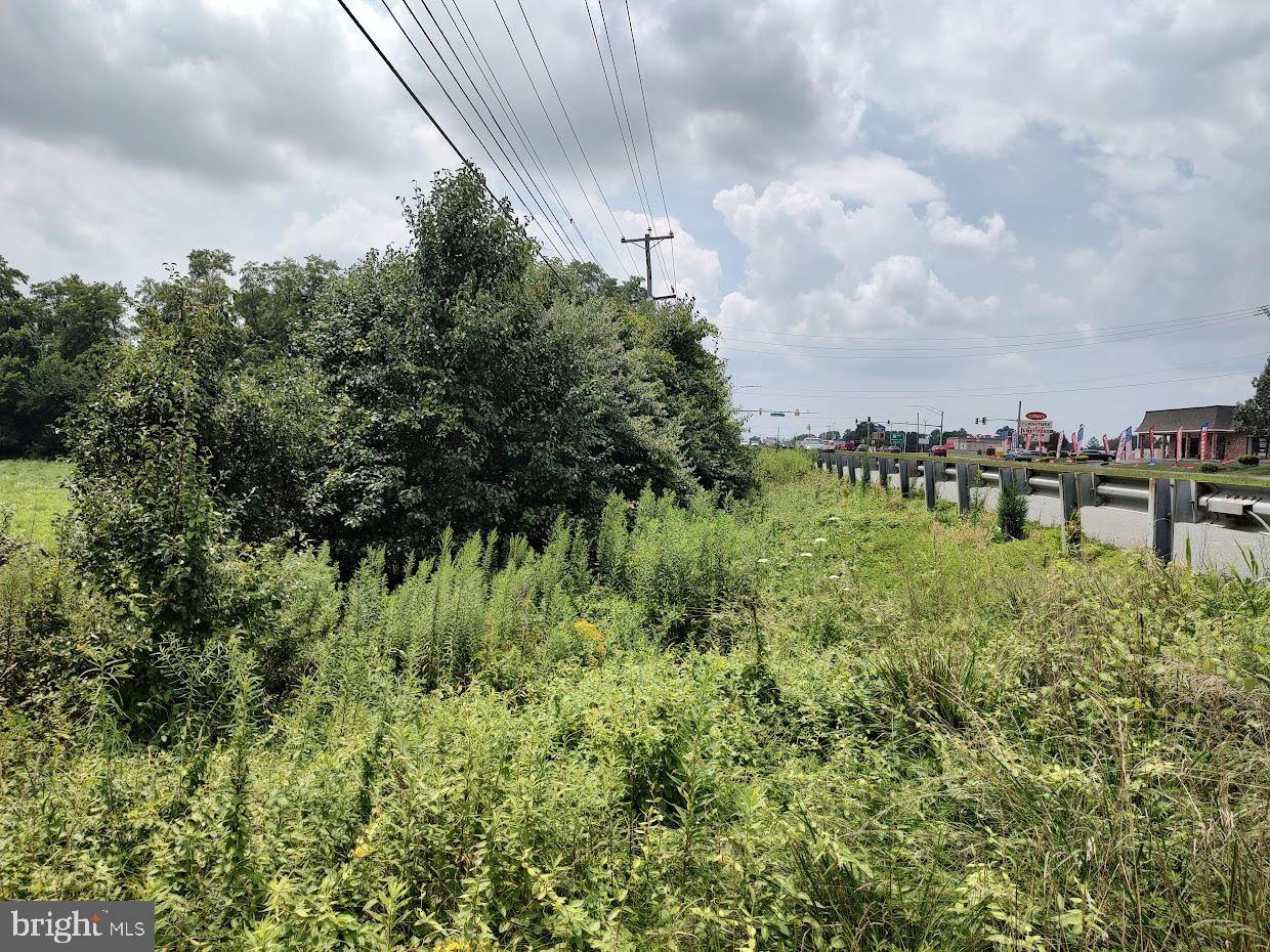 East Pulaski Highway Elkton, MD 21921 - Photo 6 of 7 Possible to anex into Town