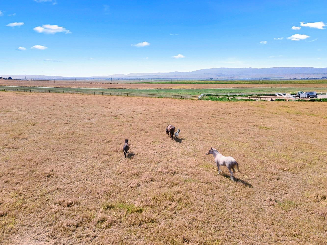 36360 Highway 33 Coalinga, CA 93210 - Photo 50 of 50 a view of a lake