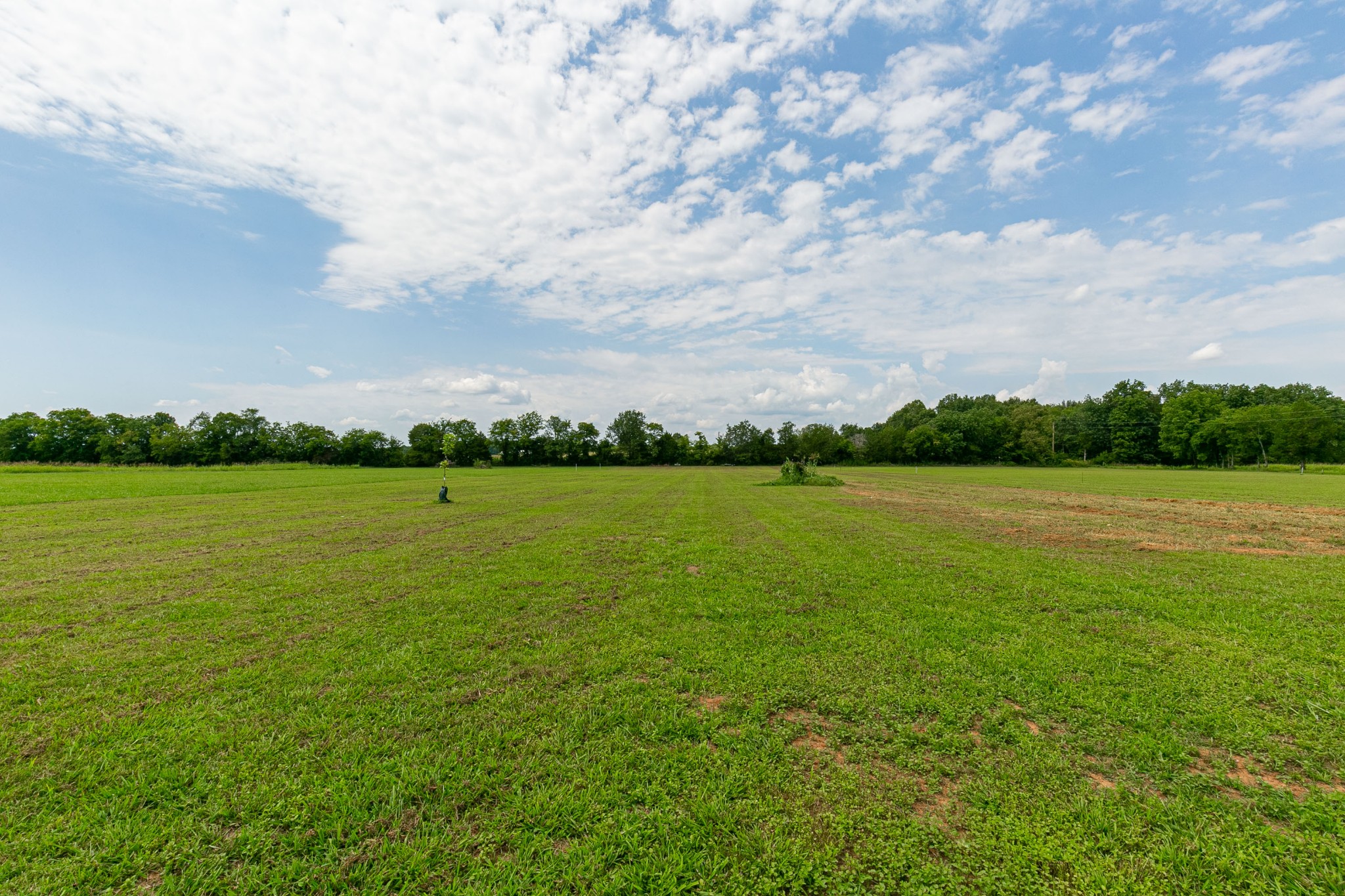7250 Cedar Forest Road Lebanon, TN 37090 - Photo 41 of 42 Gallery Image 41