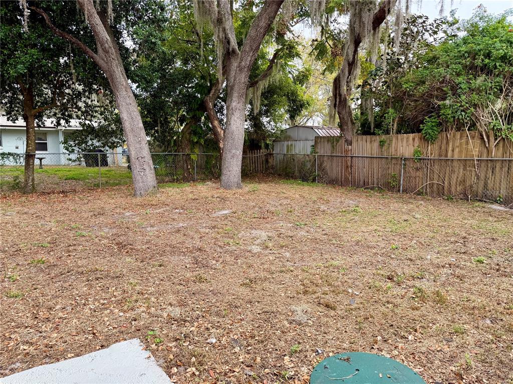 7441 Banner Street New Port Richey, FL 34653 - Photo 18 of 20 a view of backyard with tree