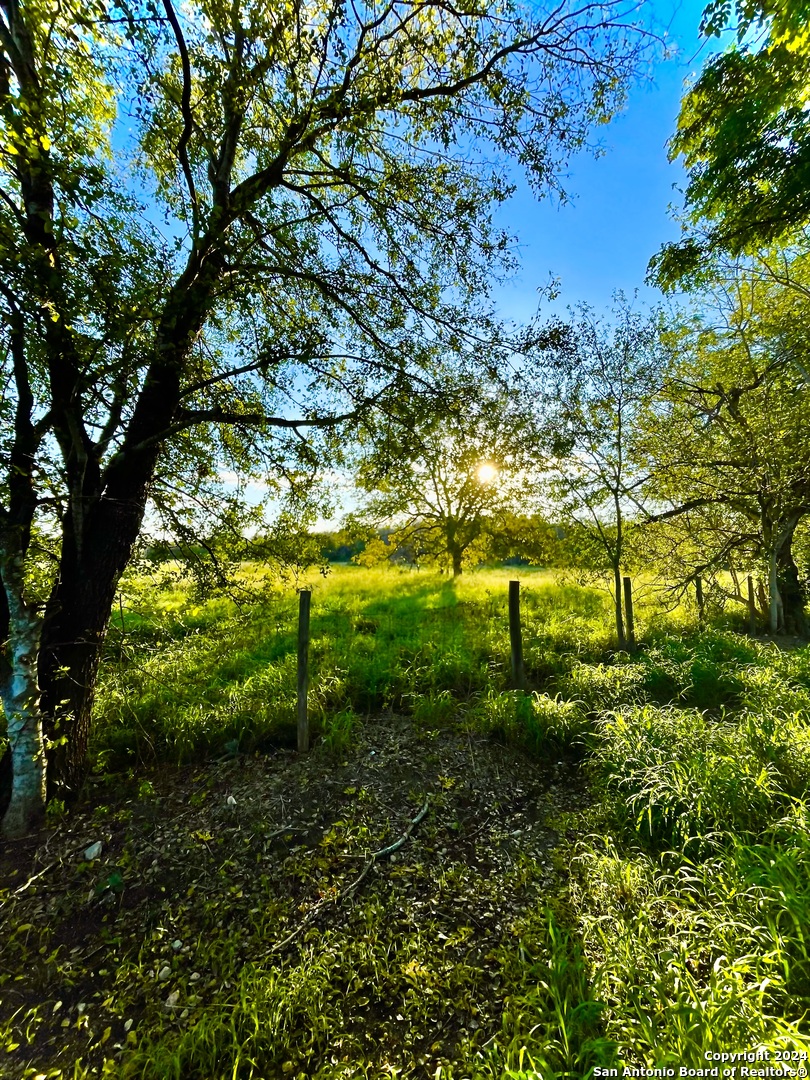 1075 7th Street Poteet, TX 78065 - Photo 7 of 8 a view of yard with green space
