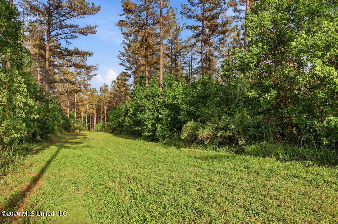 425 Rose Hill Road Bentonia, MS 39040 - Photo 62 of 150 44176E17-5CE1-4514-97C5-05E48BEE088D_1_1