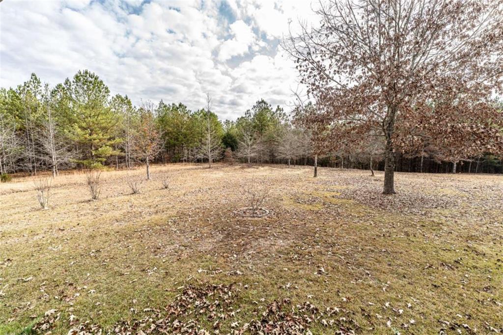 1863 New Rosedale Road Northeast Armuchee, GA 30105 - Photo 41 of 43 a view of empty space with large trees