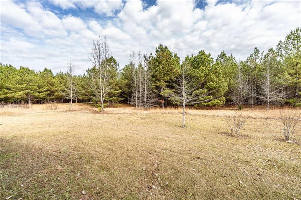1863 New Rosedale Road Northeast Armuchee, GA 30105 - Photo 42 of 43 a view of yard covered with snow