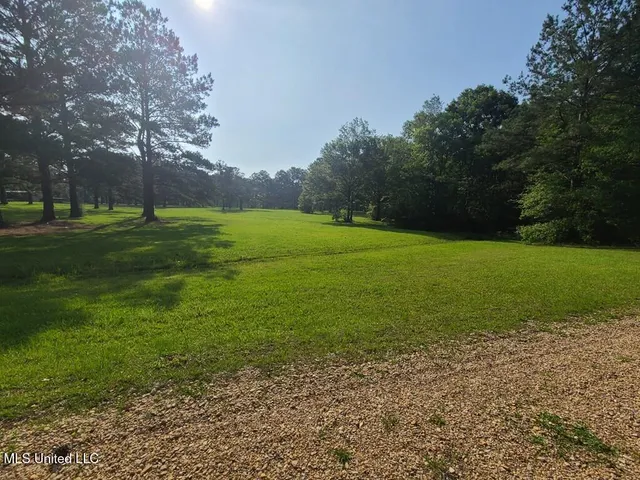 $309,150 | 0 Thompson Lane, Carriere, MS 39426