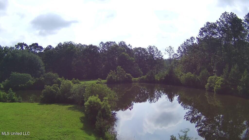 0 Thompson Lane Carriere, MS 39426 - Photo 11 of 22 183458_10